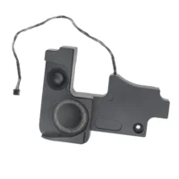 Speaker, Right