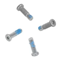 Display Hinge Clutch Screws