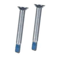 VESA Mount Screws